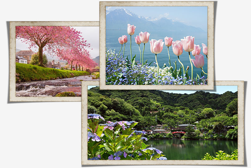 Картинки "Весна" высокого качества на рабочий стол