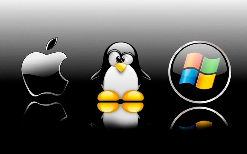 Windows, Linux и Mac OS: ноутбук на какой операционной системе лучше выбрать
